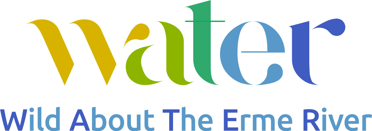 Wild About The Erme River