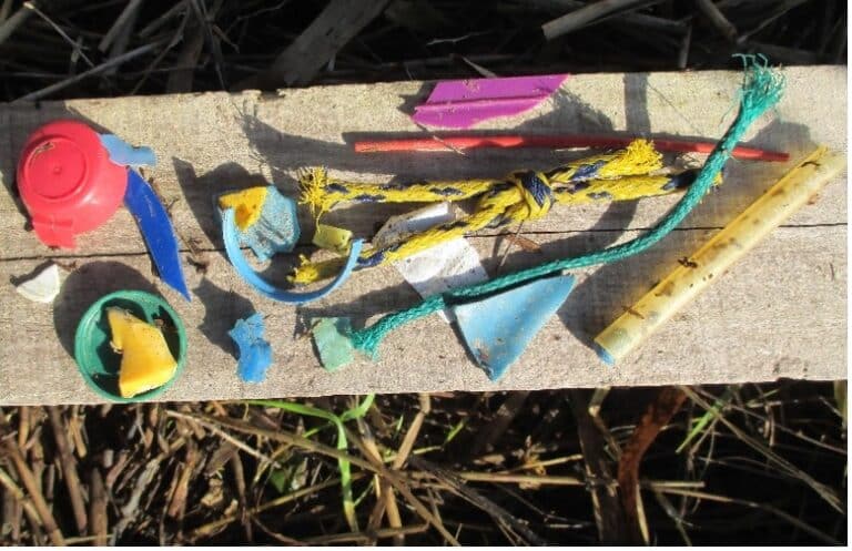 River clean reveals how plastics break down in the environment