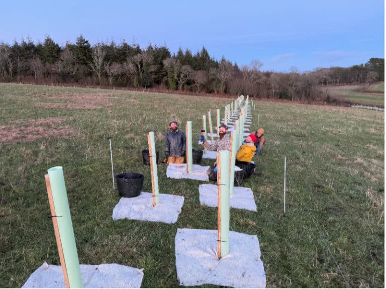 Jacks and Alice Pemberton at Ramsland Farm