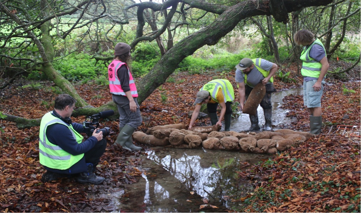 Working with local groups