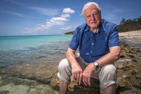 Sir David Attenborough sitting on a rock in front of the Great Barrier Reef.