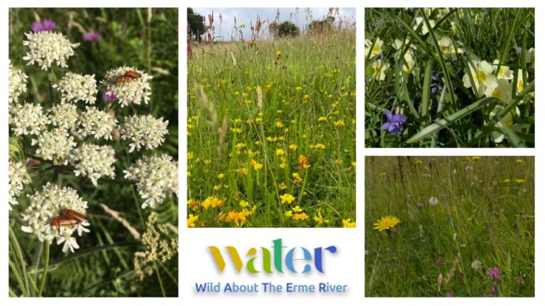 a photo of beautiful meadows near the Erme river