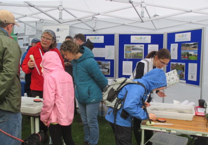 Festival stand